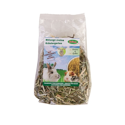 Picture of Bubimex Rodent Oat Mix 80gr